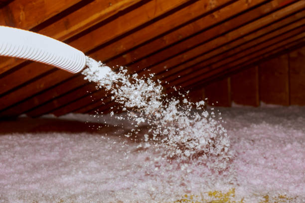 Best Commercial Insulation in Pinewood, FL