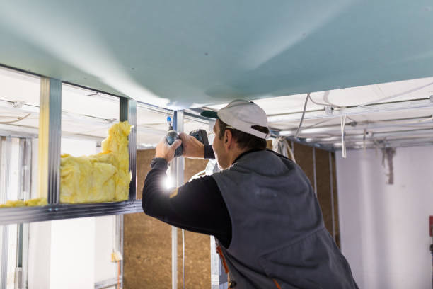 Best Eco-Friendly Insulation in Pinewood, FL