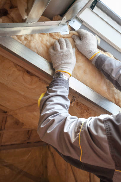 Best Insulation Maintenance and Repair in Pinewood, FL