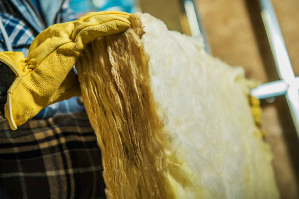 Best Blown-in Insulation in Pinewood, FL