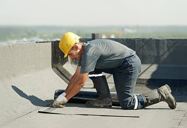 Types of Insulation We Offer in Pinewood, FL