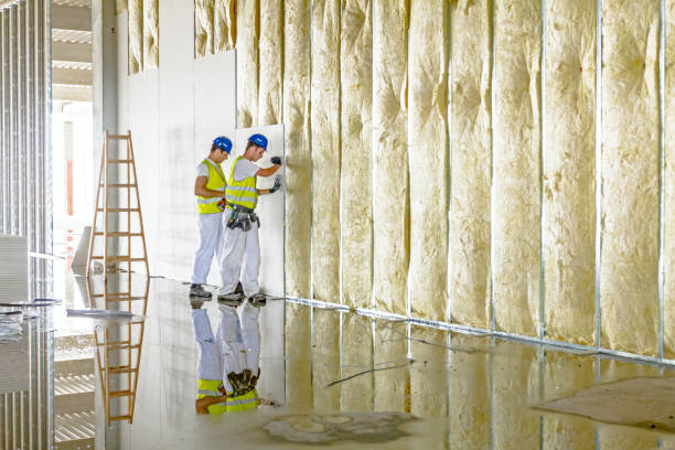 Best Geographic-Specific Insulation Services in Pinewood, FL